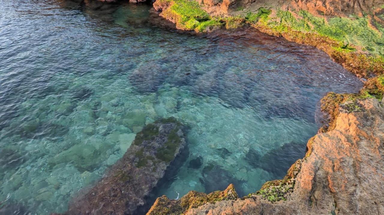 100 Mt Playa De Los Locos Torrevieja Bagian luar foto